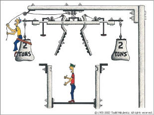 Click to Enlarge (800x600)